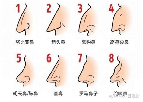 三角形鼻孔面相|15种鼻型，你属于哪一种？